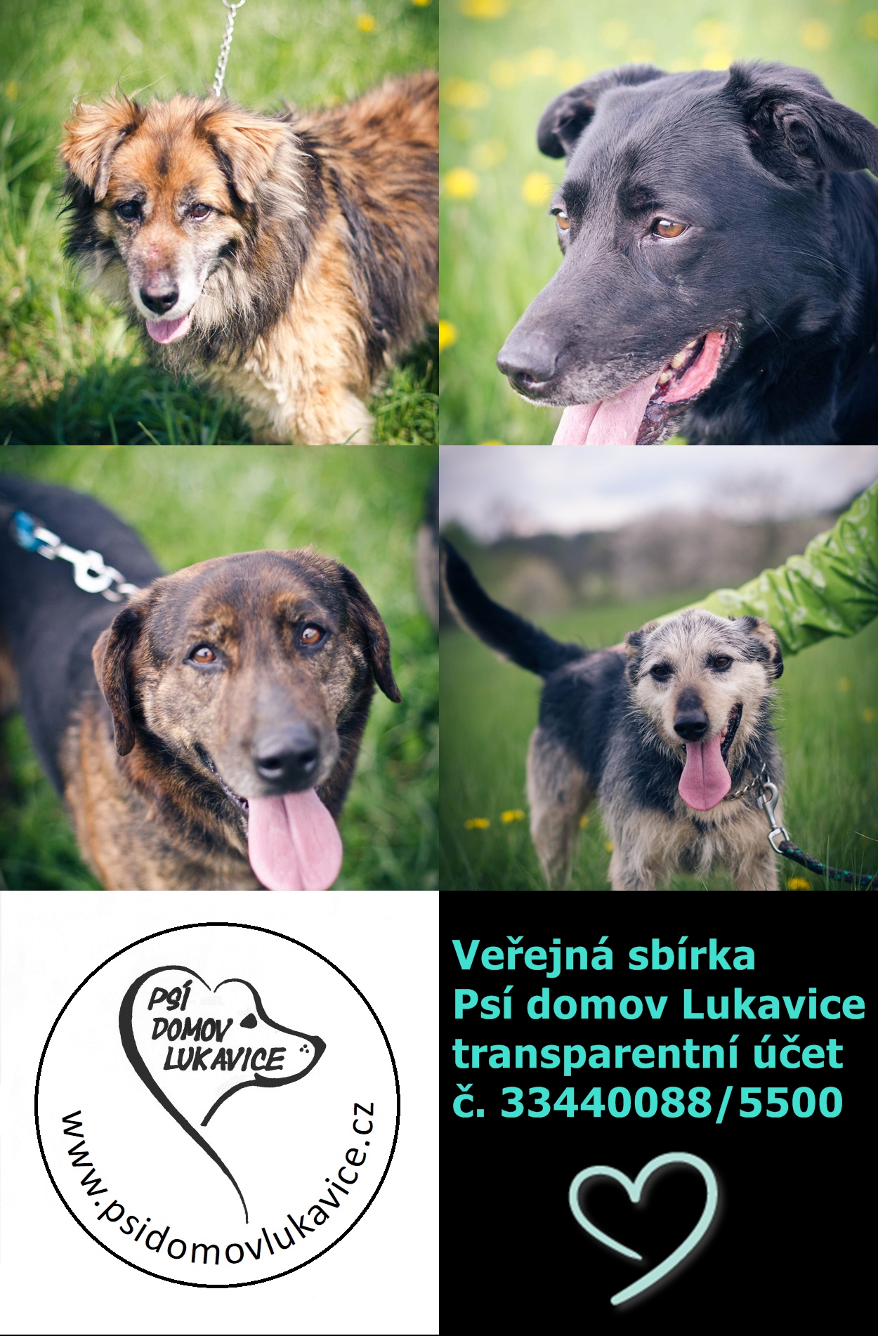 Veřejná sbírka